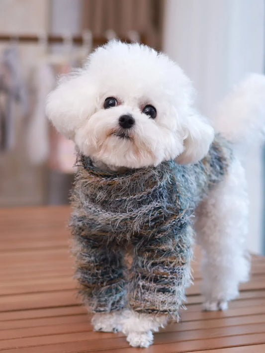 2025 Pet Sweater – Simple & Stylish Dog Apparel for Spring & Autumn