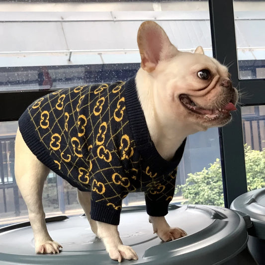 Luxury Winter Dog Clothes – Designer Warmwear for Small & Medium Dogs