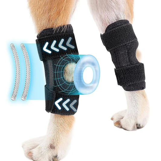 Dog Hock Joint Brace – Support & Protection for Injury Recovery