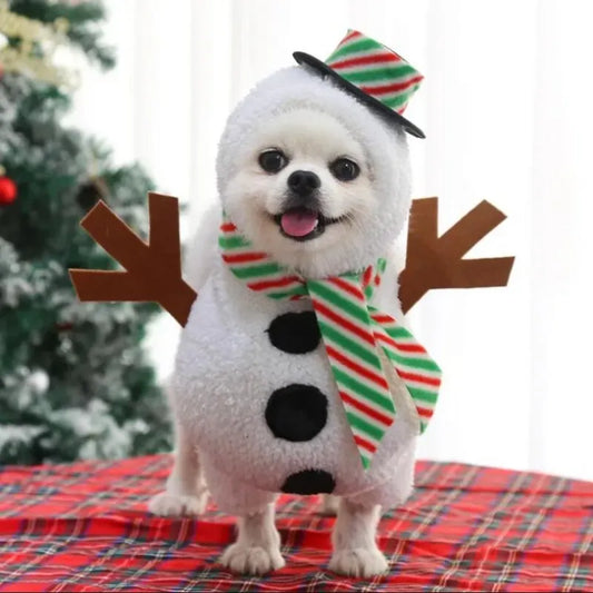 Cowboy Rider Dog Costume – Pet Suit for Small to Large Dogs